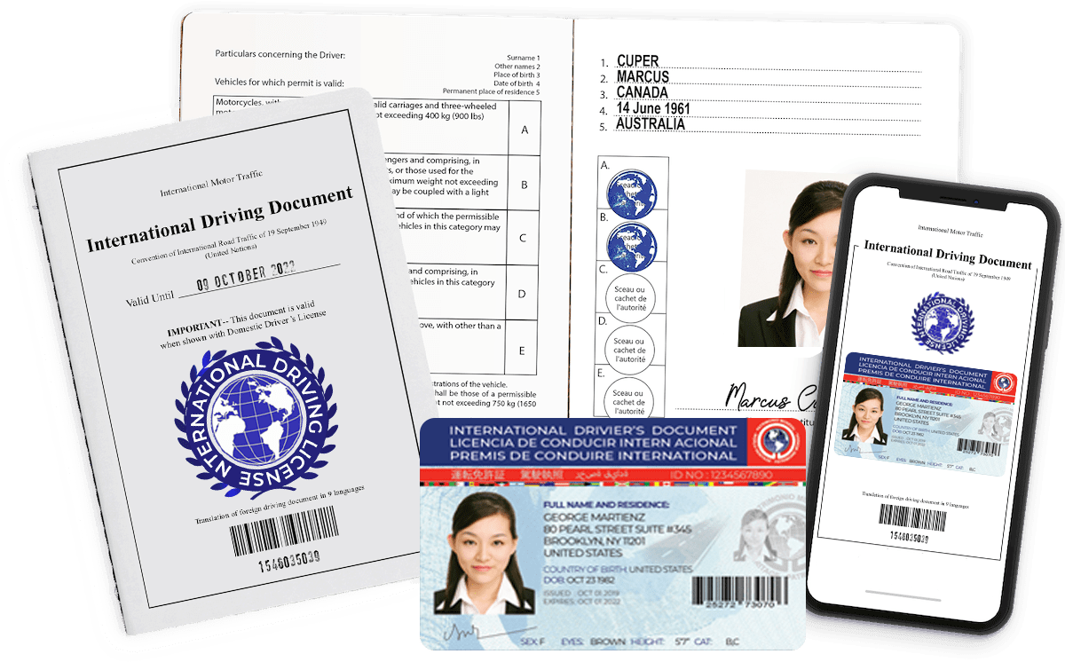 international driving license